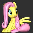 1_2.jpg Fluttershy - My Little Pony