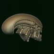 5.jpg Xenomorph Alien biomechanical head
