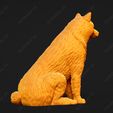 246-Alaskan_Malamute_Pose_04.jpg Alaskan Malamute Dog 3D Print Model Pose 04