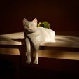 IMG_3773.jpg 猫のプランター・ポット