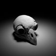 scene_crane_hibou_1_41.jpg "Owl Skull" : 3D file for sale