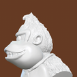 16766BF0-5C10-40F0-BFFD-260C1C8E350E.png Бюст Донки Конга