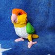 IMG_20240617_154755352.jpg Caique