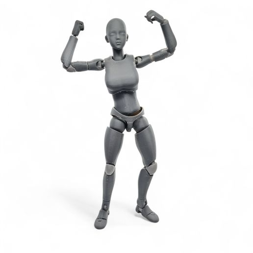 🤖 1/10 Scale TPU Joint Action Figure E.V.A 02・3D Print・Cults
