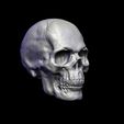untitled.167ed.jpg Skull Head