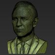 27.jpg James Bond Daniel Craig bust 3D printing ready stl obj