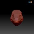 STL-00012-Waran1.jpg Monitor lizard head portrait