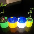 IMG_20160629_225821_web.jpg Customizable Watering Planter