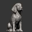 beagle11.jpg 3D-Datei Beagle 3D-Druckmodell・3D-druckbares Modell zum herunterladen