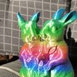 IMG_20240320_074634.jpg Rabbit family