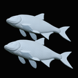 Bream-fish-38.png fish Common bream / Abramis brama solo model detailed texture for 3d printing