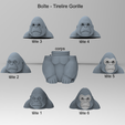 versions.png Gorilla box