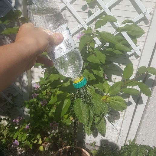20180722_123533.jpg Soda bottle watering cap