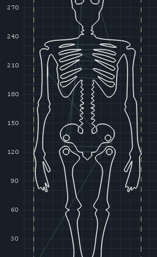 30cm.png 4 tamanhos de esqueleto