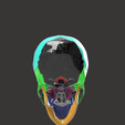 5.png SKULL  SEGMENTED (ANATOMICAL ) DETAILS