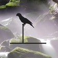 Captura1.png PARROT / BIRD / FIELD / BOOK / BOOKEND / BOOK / BOOK / BOOK / STAND / SHELF / DECORATION / ANIMAL / READ / GIFT / SCHOOL / STUDENTS / TEACHER / OFFICE