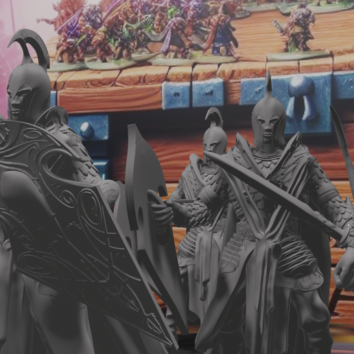 3.png Escuadra de Elfos Nobles