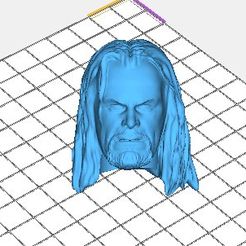 Image2.jpg Undertaker WWE Attitude Era Ministry of Darkness Phenom 3D Head