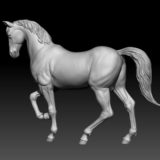 horse_7.jpg 3D Horse model for 3D printing