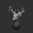 2-ZBrush-Document.jpg Deer head-WALL MOUNTED