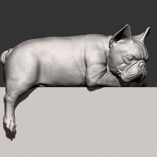 French-Bulldog9.jpg 3D file French Bulldog 3D print model・3D printing template to download, akuzmenko