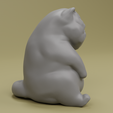 0003.png Sad and Lethargic British Shorthair Cat Figure for 3D Printing