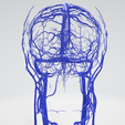 vein,-artery,-cerebrovascular,-brain,-face,-hemisphere,-willis,-dental,-neck,-head,-cerebellum,-vasc.png 3D 头颈部血管解剖图 - 动脉、静脉和脑血管系统
