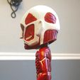 IMG_20170302_073918456.jpg Attack on Titan - Bobblehead
