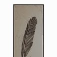 01.jpg Archaeopteryx fossil feather "3d reconstruction