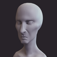 0004.png 14 sculpted heads