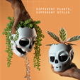 Cults-7.png Skull Planter