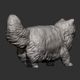 Persian-cat9.jpg Persian cat 3D print model