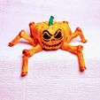 10.jpg Flexi Halloween Pumpkin Spider
