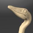 Compy full-Cámara 8.198.jpg Fichier 3D Compsognathus corps entier - Jurassic Park・Objet pour impression 3D à télécharger