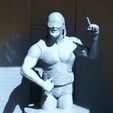 randy-savage-statue-3d-model-stl-(2).jpg Randy Savage Statue 3D print model