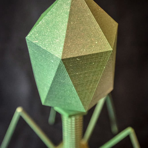 Capture d’écran 2017-02-24 à 17.47.21.png Bakteriophage - T4-Virus