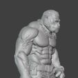 g4.jpg King Kong Fighter Gorilla Warrior