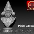 Pablo-Bust-EE1.jpg Jedi Statue Bust - Jedi Pablo Jill - Life-size from Star Wars 3D print model