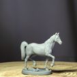 3.jpg Horse Pack for D&D, Tabletop Games and Collectors. 3 Poses Gallop, Trot and Rearing, bases included 32mm scale.