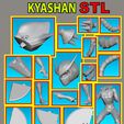 KYASHAN ESPLOSO copy.jpg KYASHAN SAVES FLENDER MARINE NEW VERSION WITH GUNS - FILE STL FOR PRINTERS FDM - DLP - SLA
