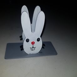 20210205_203750.jpg 3D file rabbit-faced sevilletero.・3D printer design to download
