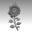 k1.jpg TOURNESOL