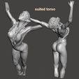 suited torso.jpg Descargar archivo STL gratis Ballet élfico Serie 2 - por SPARX・Modelo para la impresora 3D