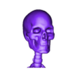 head_skel.stl Human Skeleton