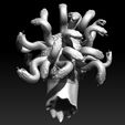 MEDUSA3.jpg GOD OF WAR JELLYFISH