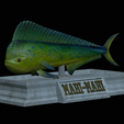 Base-mahi-mahi-2.png fish mahi mahi / common dolphin fish statue detailed texture for 3d printing
