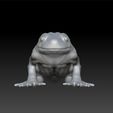 frog222.jpg Realistc frog