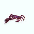 0_00062.jpg Crab Crab Crab - DOWNLOAD Crab 3d Model - animated for Blender-Fbx-Unity-Maya-Unreal-C4d-3ds Max - and 3D Printing Crab - POKÉMON - DINOSAUR