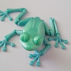 Niedlicher Flexi Print-in-Place Frosch