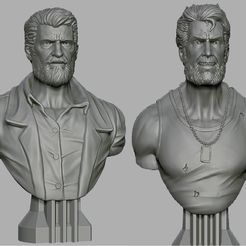 001.jpg Fichier 3D gratuit bust logan・Modèle à télécharger et à imprimer en 3D